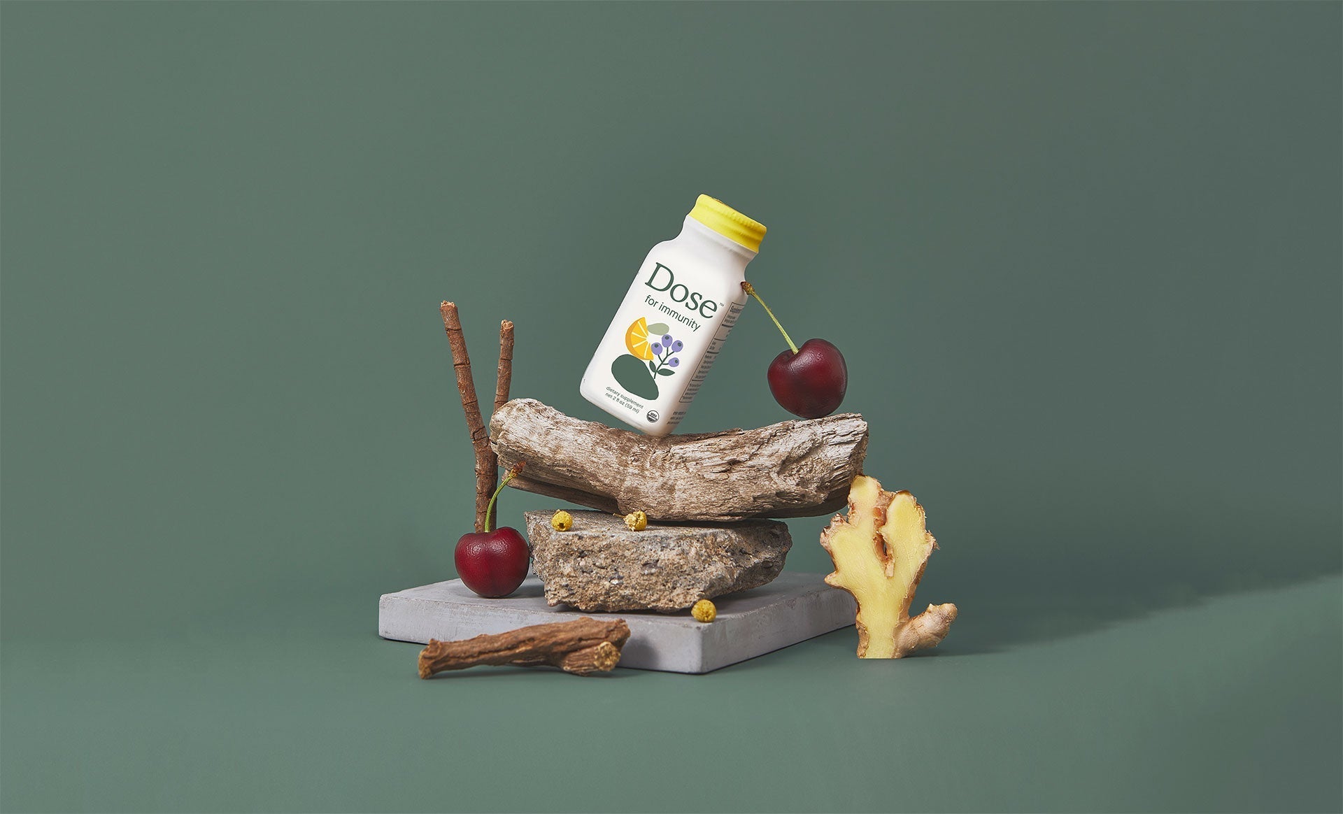 Echinacea vs Elderberry for Fighting Infections and Improving Health