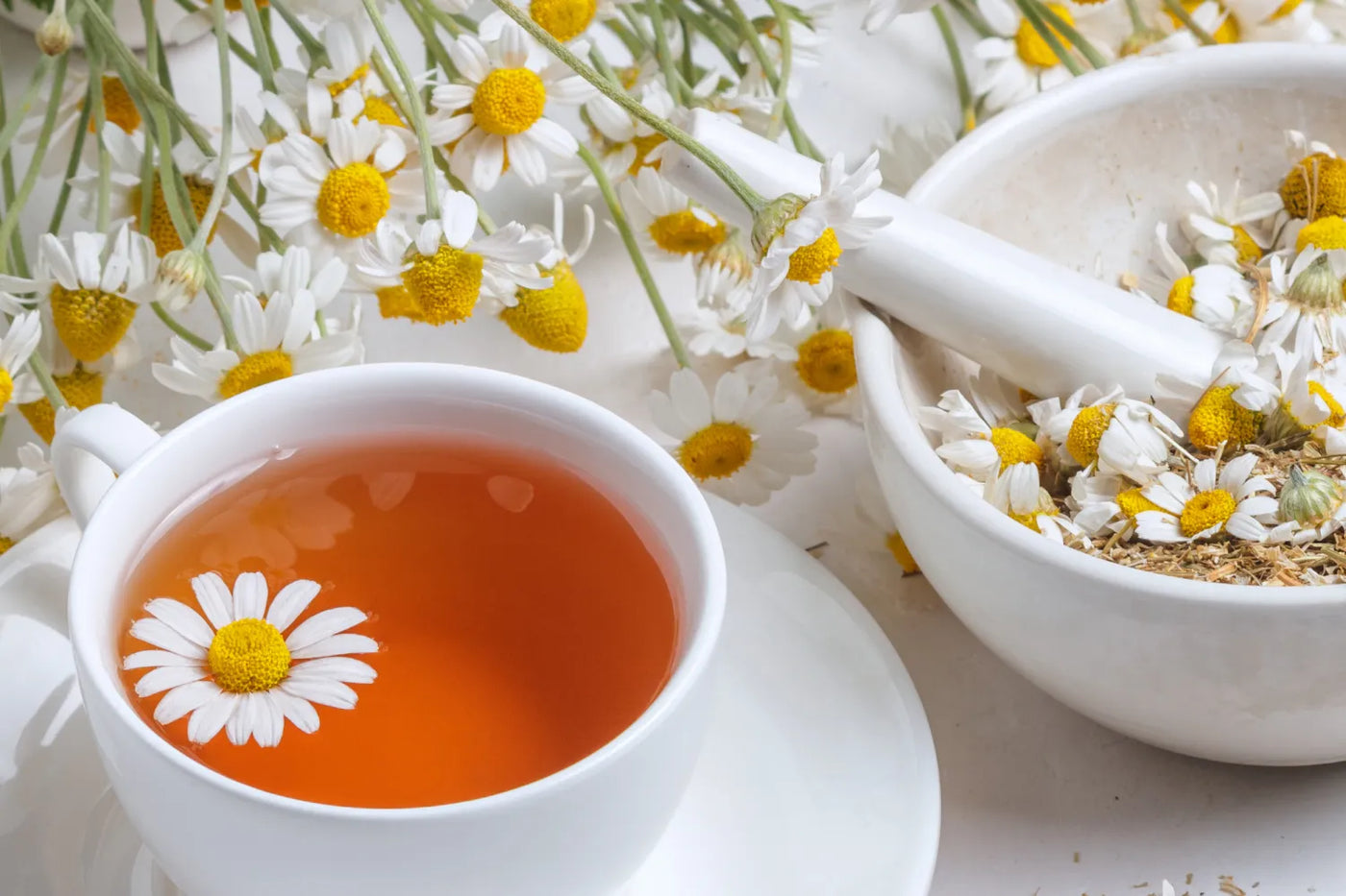 What Are the Benefits of Chamomile?