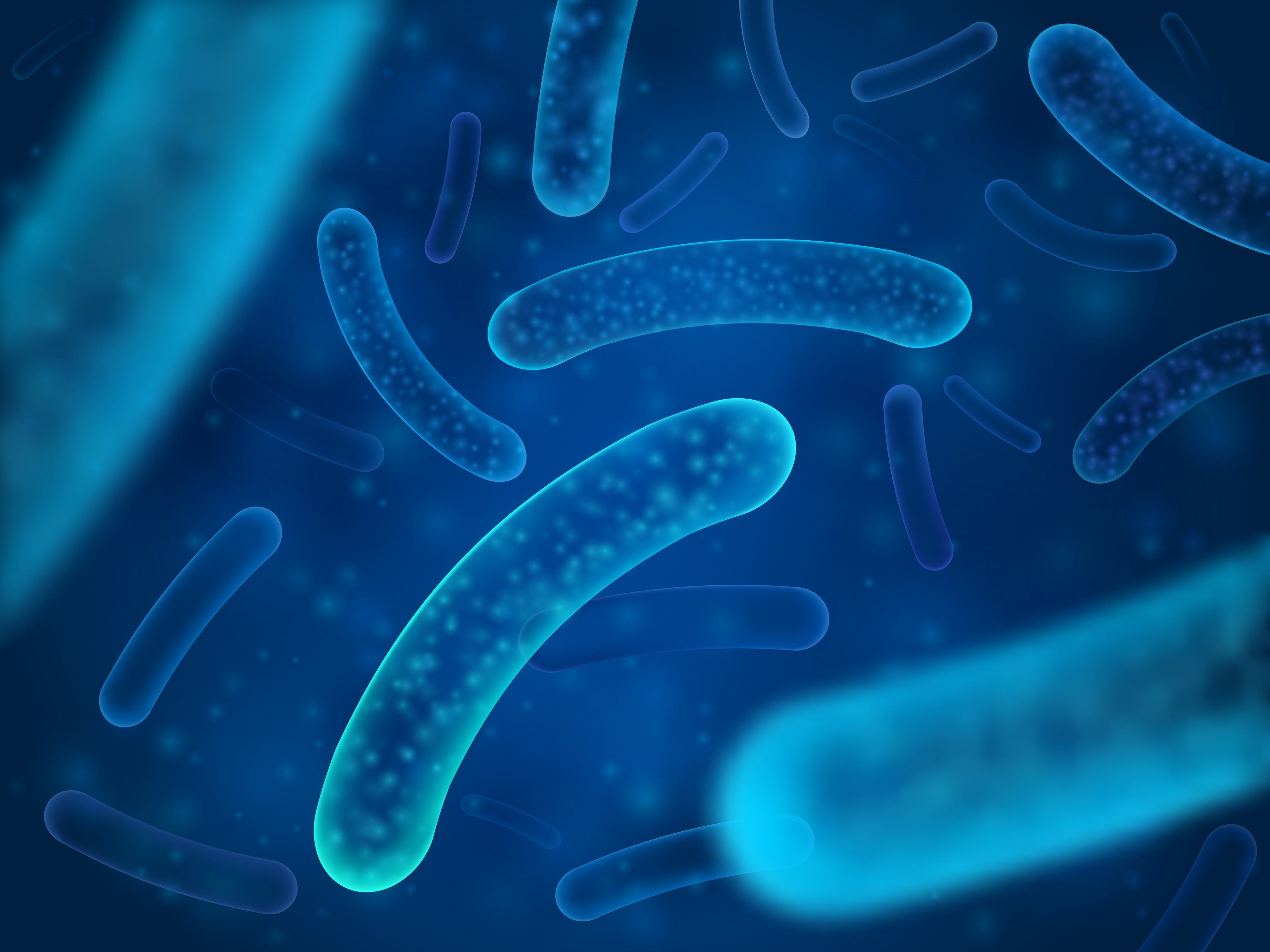 Digestive Enzymes vs. Probiotics: What’s the Difference?