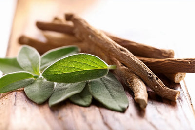 9 Best Herbs To Boost Energy