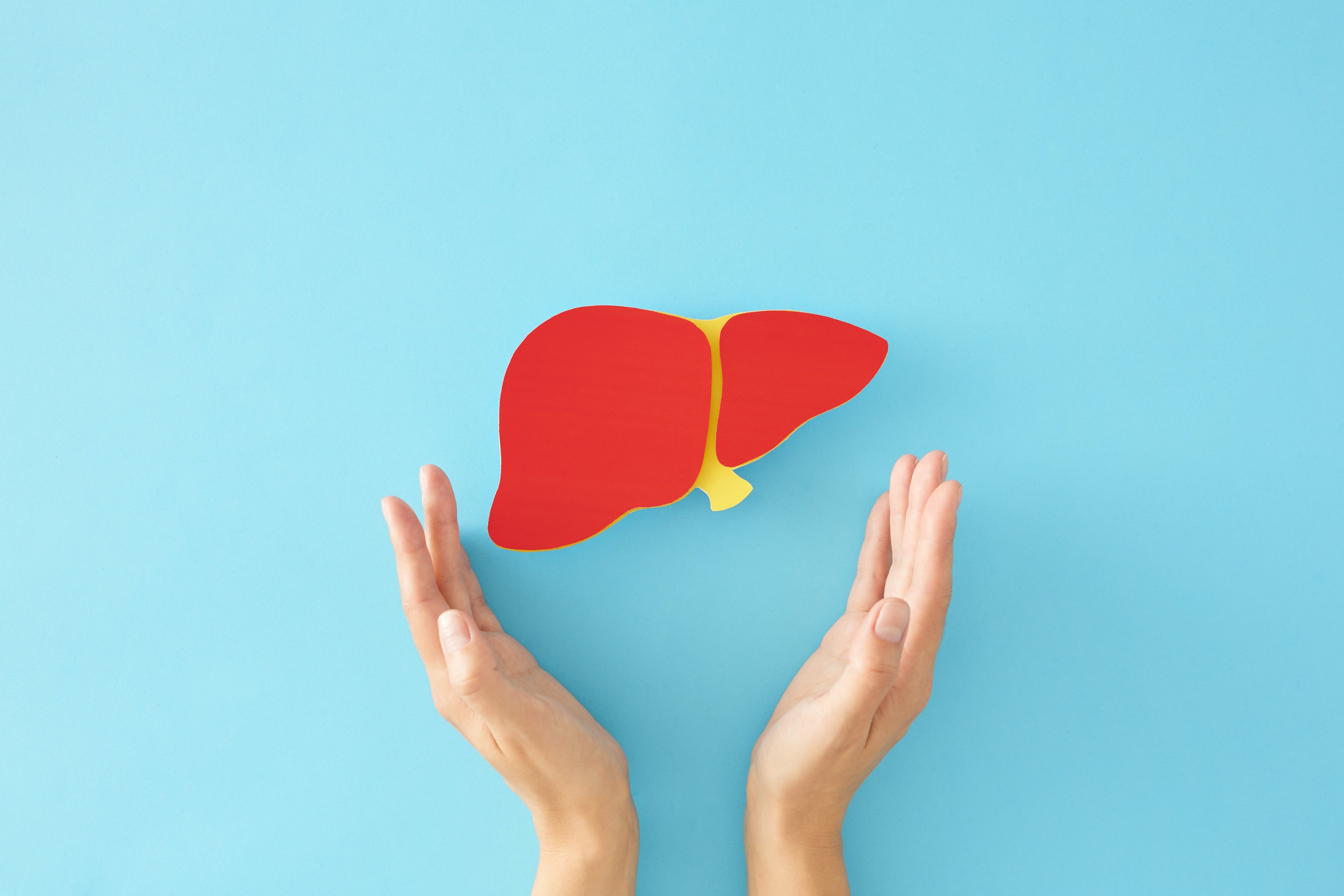 Liver Health 101: The Hard-Working Organ Behind Energy, Digestion, and Metabolism