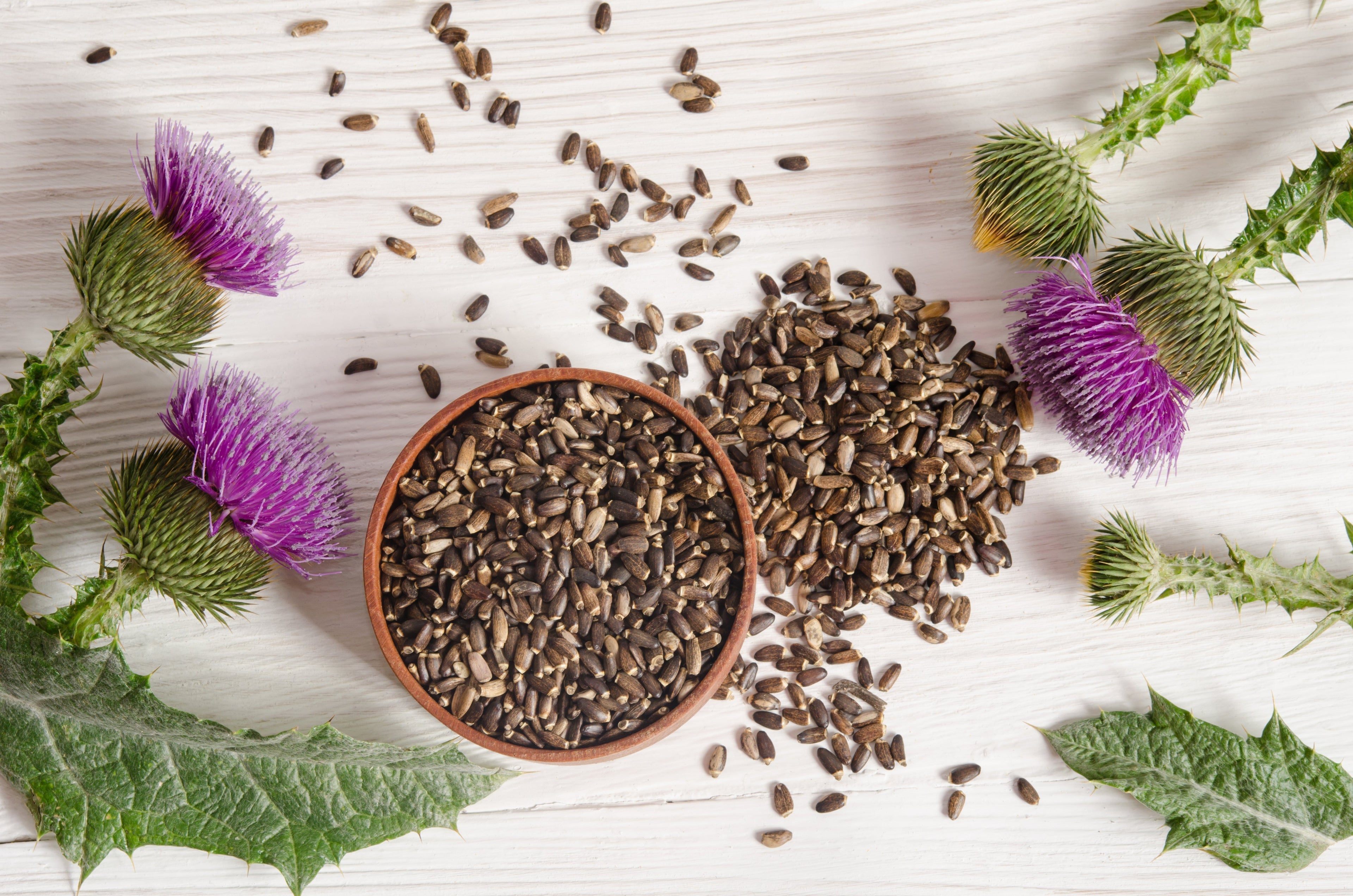 Milk Thistle and Turmeric: Can You Take Them Together?