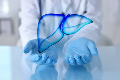 The Connection Between Liver Function and Hormones