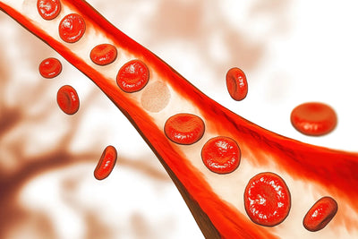 What To Know About HDL Cholesterol