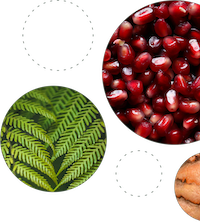 Clinical study imagery