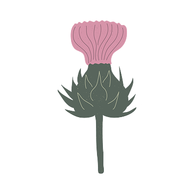 Milk Thistle