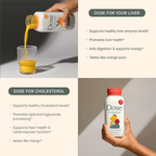 Liver & Cholesterol Bundle