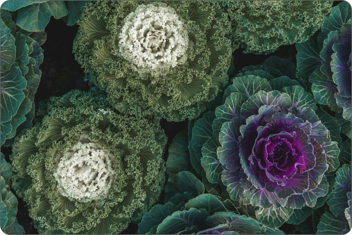 Leafy greens, garlic, and berries that nourish the liver