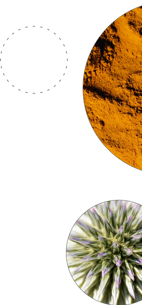 Clinical study imagery