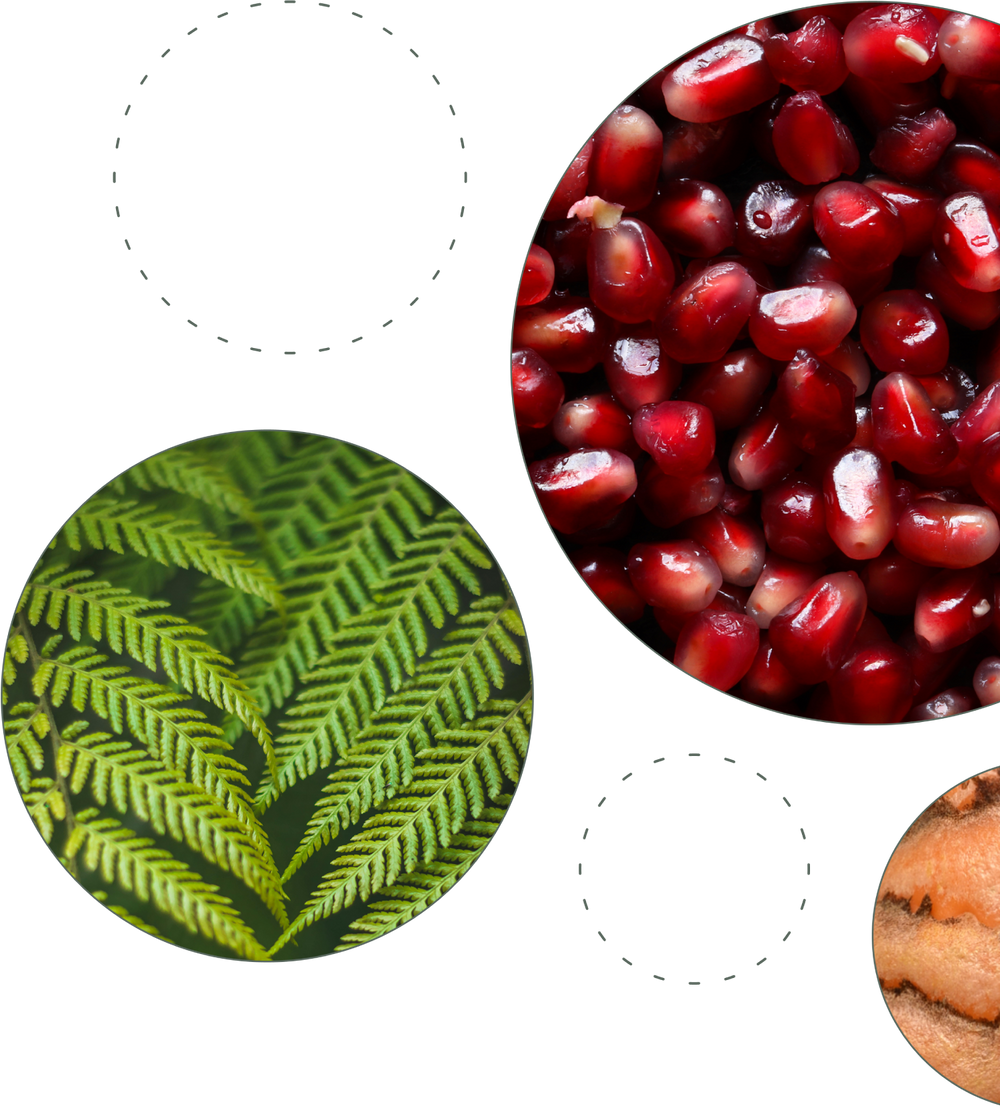 Clinical study imagery