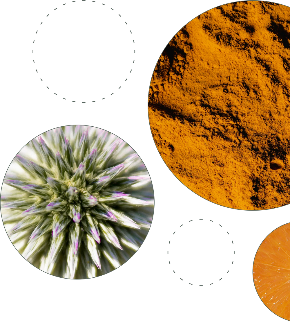 Clinical study imagery