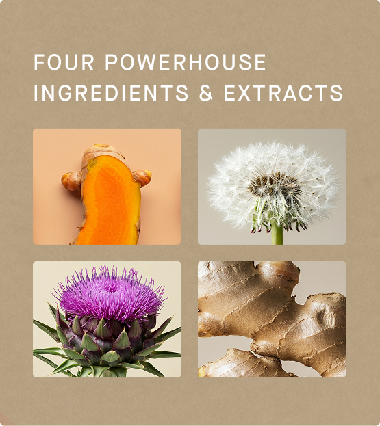 Dose for your Liver | Liver Supplement Dose for your Liver | Liver Supplement