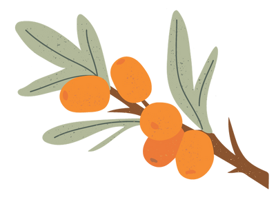 Sea Buckthorn